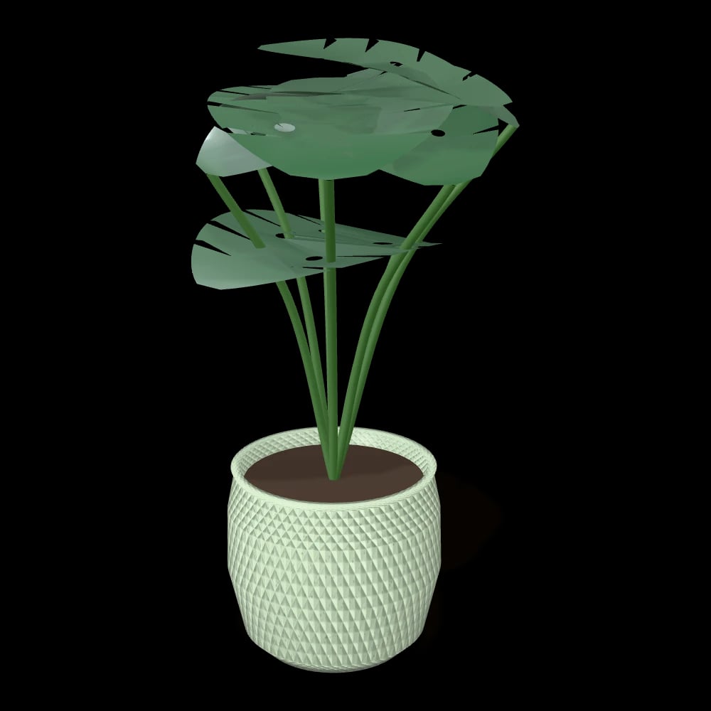 Monstera in Textured Pot — three-quarter view